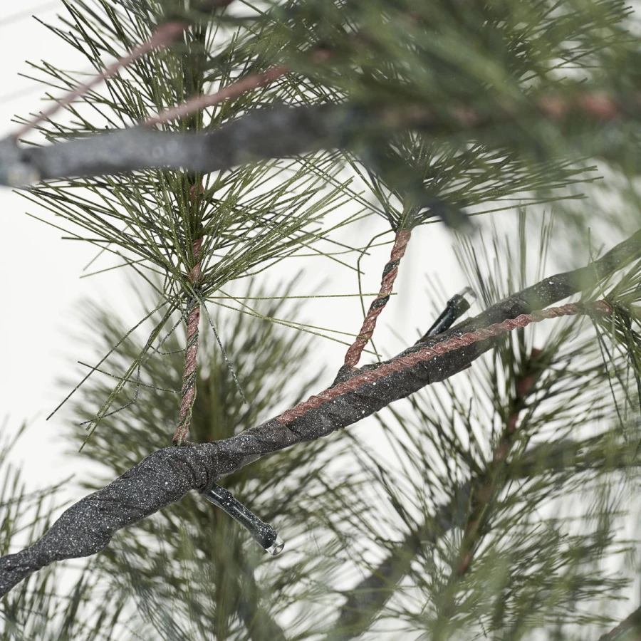 260250111_04.jpg