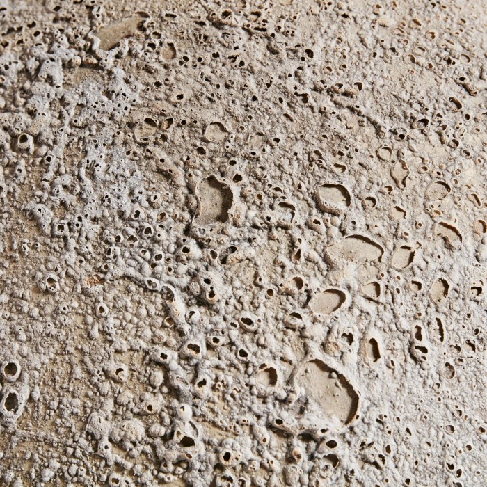 8477061315_1.jpg