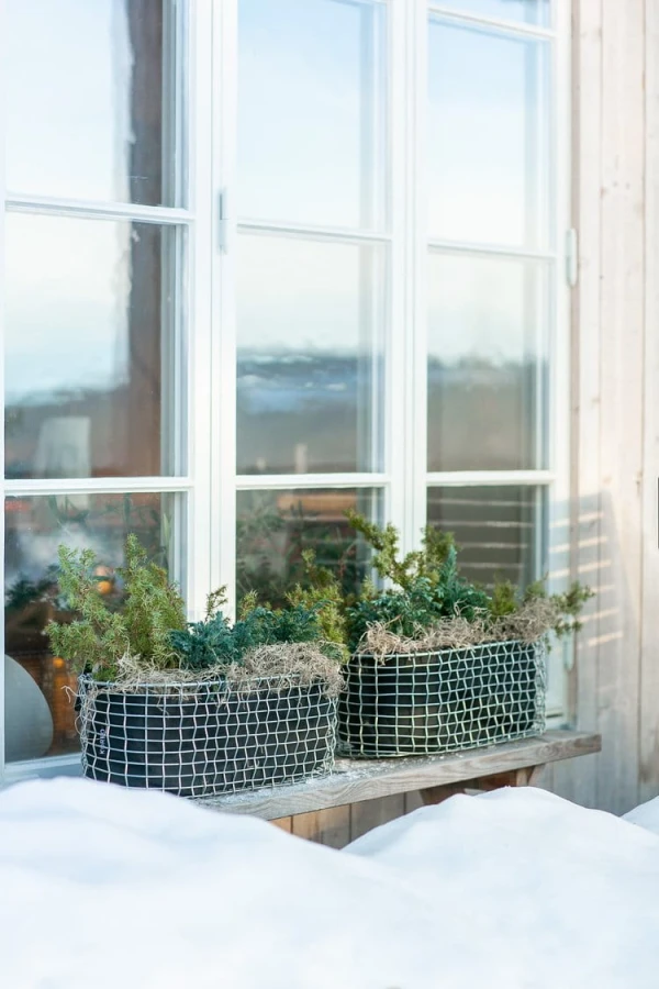Balcony,+Planting+basket+galvanized+Window+sill.jpg
