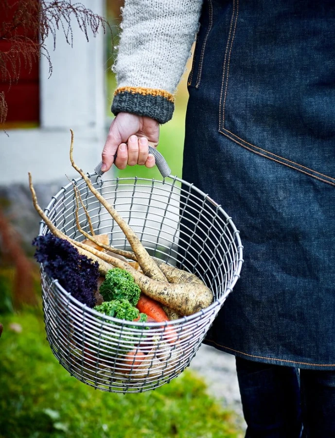 Bin+16+Veggies.jpg