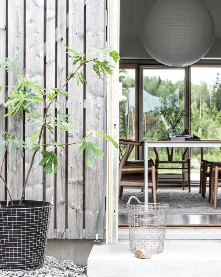 Figtree+entrance.jpg