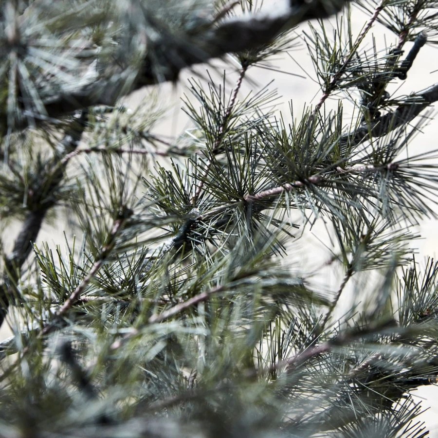 260250120_11.jpg