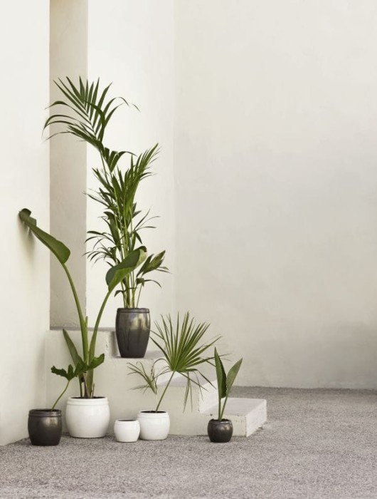 GLAZEPOT-WH_GLAZEPOT-PH.jpg