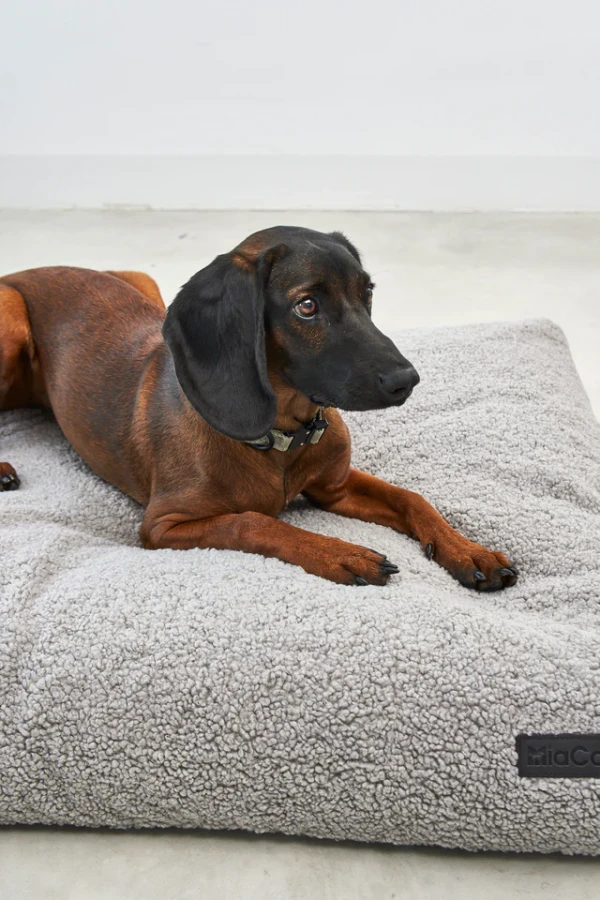 MC_2311_Beds_Fine_16_low-res.webp