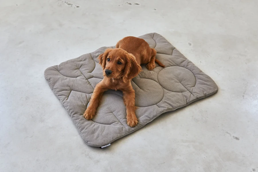 MC_C03-011-03_Sleep_Blanket_Linea_Mocca_Elfie.webp