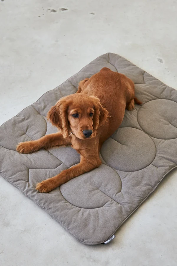 MC_C03-011-03_Sleep_Blanket_Linea_Mocca_Elfie2.webp