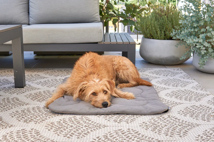 MC_C03-011-03_Sleep_Blanket_Linea_Mocca_Hugo.webp