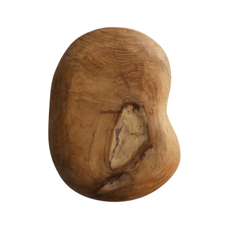NUSAPLATE-L-BACK.jpg