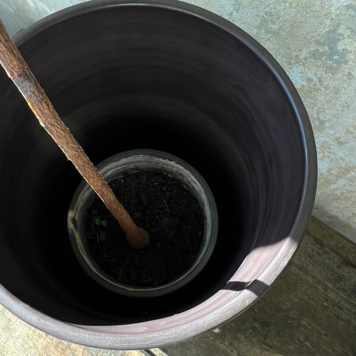 tade jar inside.jpg