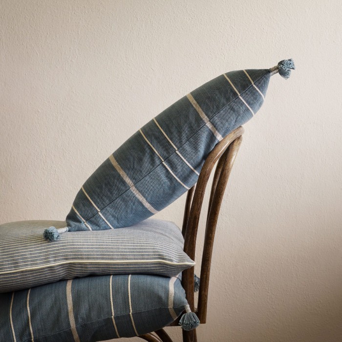 TASS45-DENIM.jpg