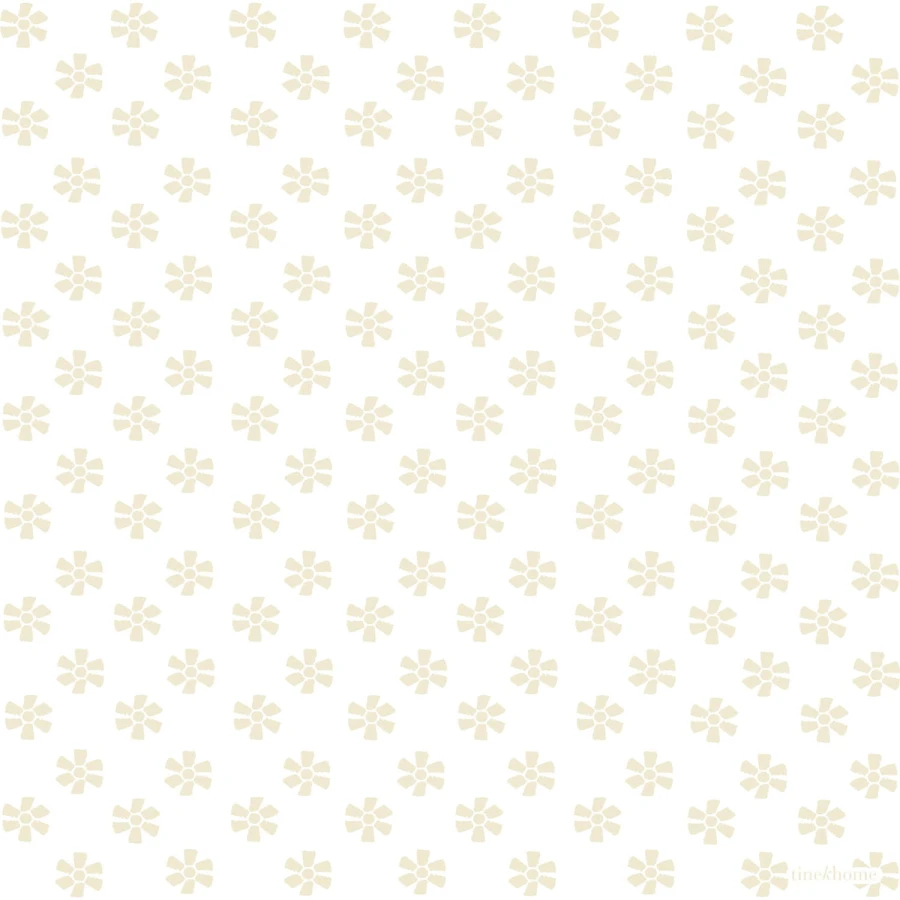 PAPERCARO20x20-CREME.jpg