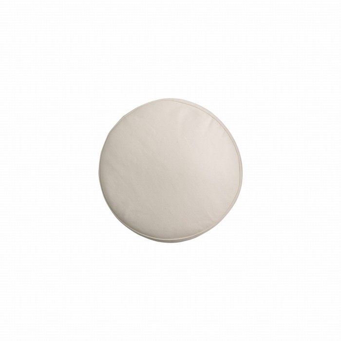 palmabis-ica-white.jpeg