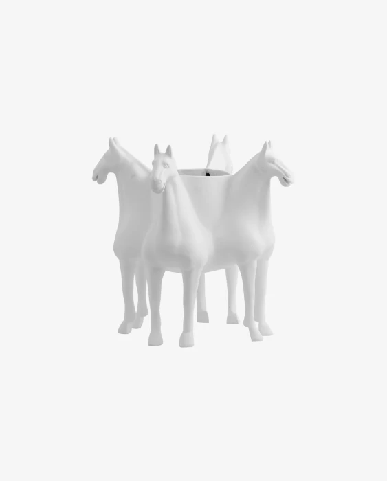 10.webp