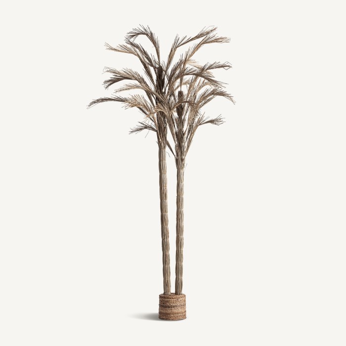 planta-areca-vical-36814-43449393.jpg