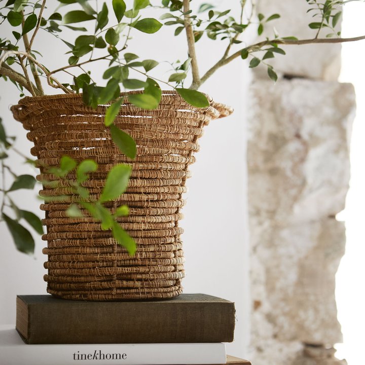 seen_myra-flower-high.jpg__720x720_q85_crop_subsampling-2_upscale.jpg