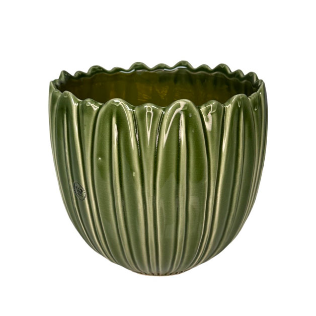 030260-L.jpg