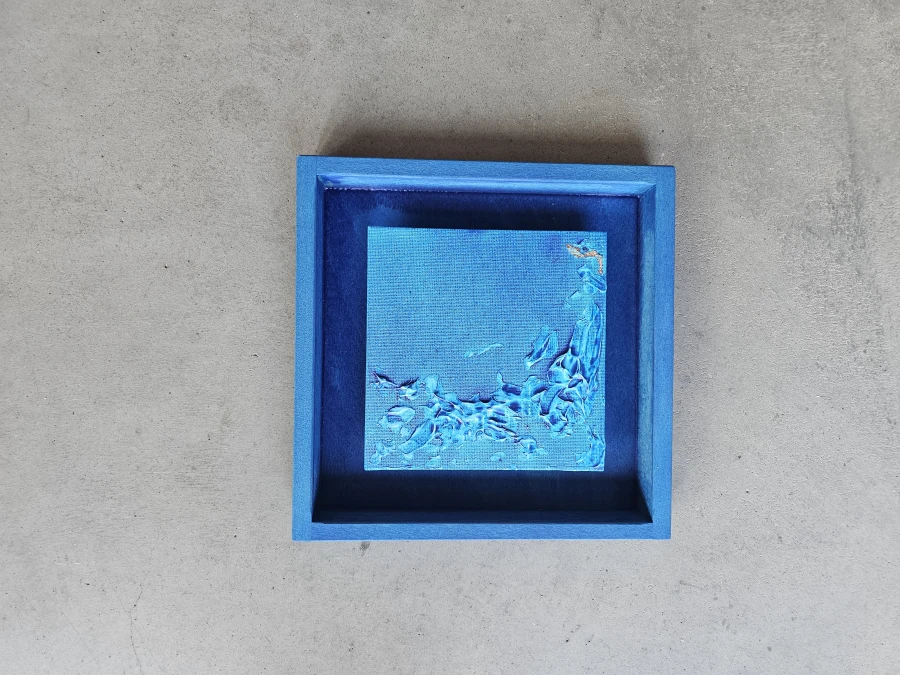 1000060020.jpg