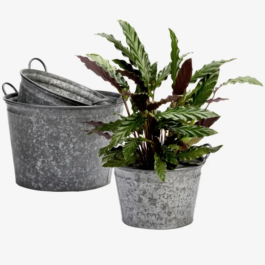 25t62031_1.webp