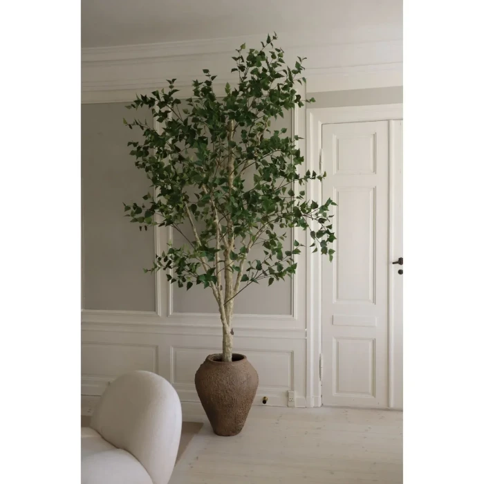 BOT-TP-007_1.webp