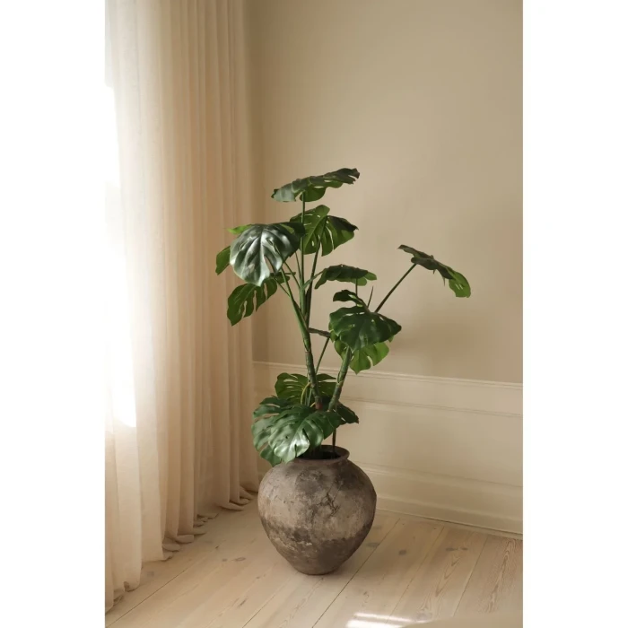 BOT-TP-005_1.webp