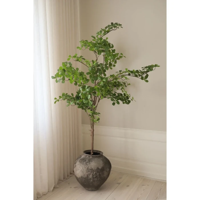 BOT-TP-009_1.webp