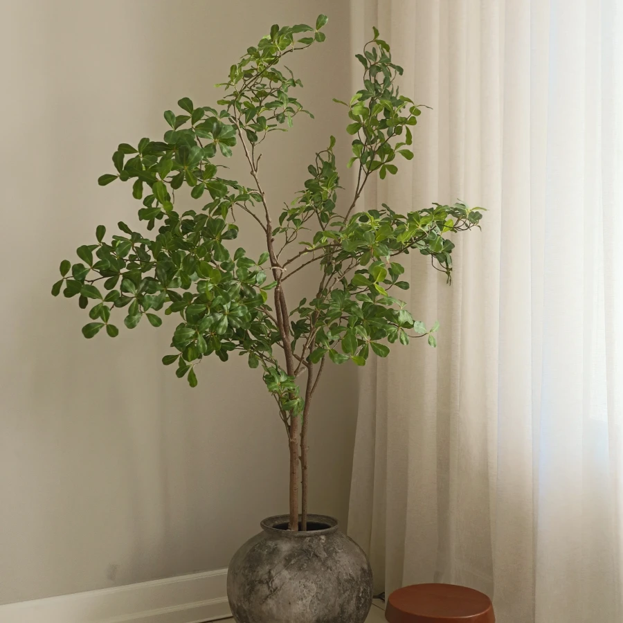BOT-TP-009_4.webp