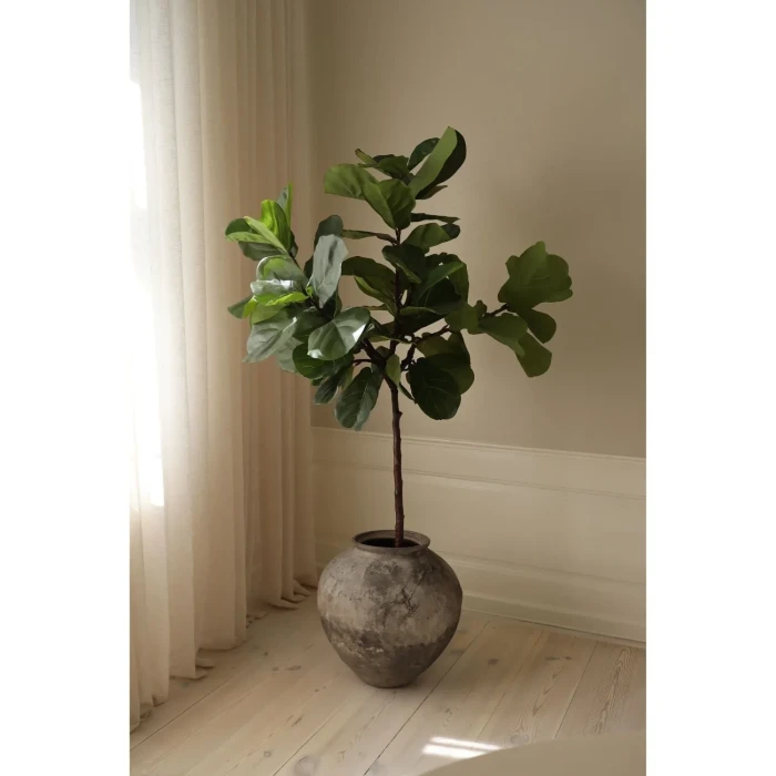 BOT-TP-002_1.webp