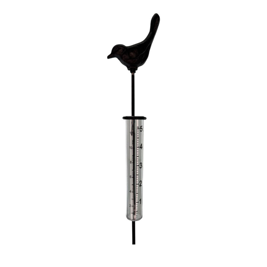 524285_1.jpg