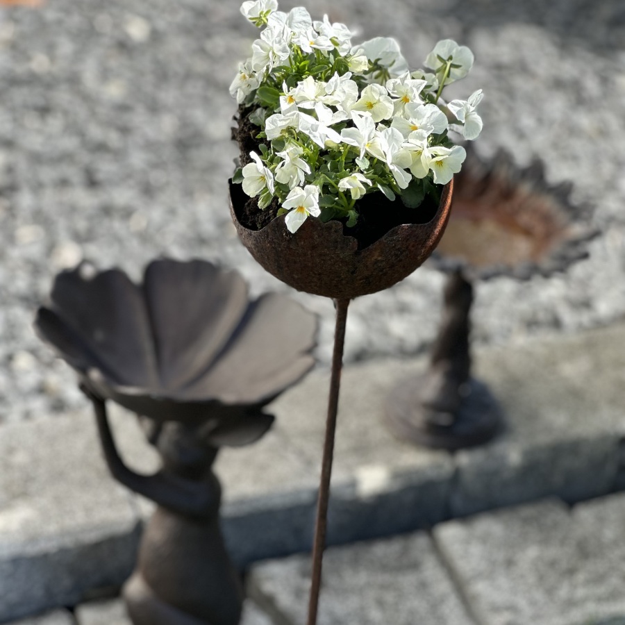 511050_4.jpg