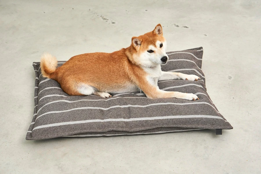MC_C01-033-01_Sleep_Riga_Floor_Chocolate_Greige-3.jpg