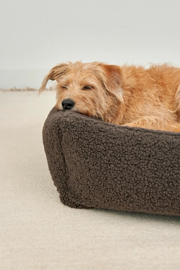MC_C02-020-04_Sleep_Senso_BoxBed_Chocolate-3.webp