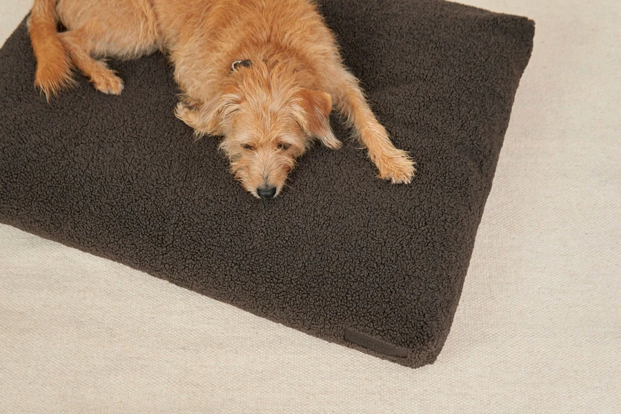 MC_C01-023-04_Sleep_Cushion_Senso_Chocolate-4.jpg
